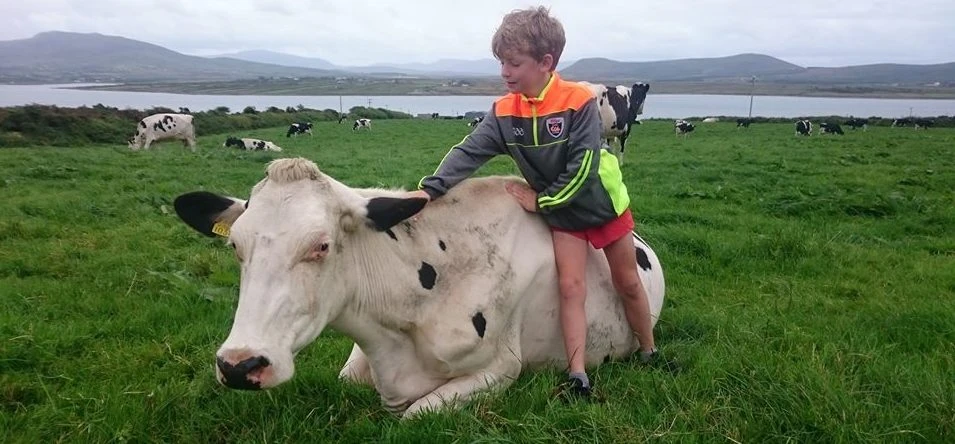Family @ Valentia Island Farmhouse Dairy